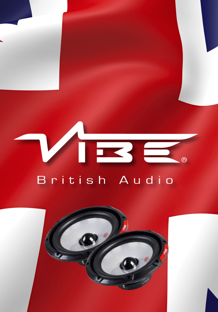 vibe_vertical-min.png