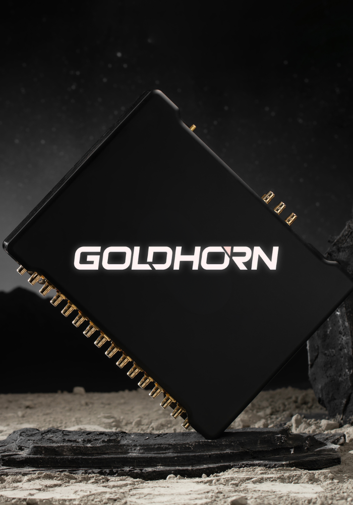 GoldHornv.png