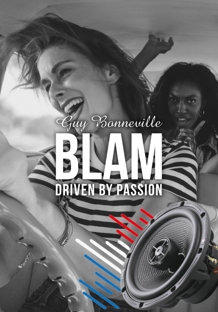 BLAMv.png